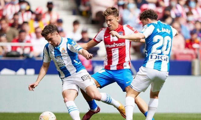 沉着稳定有 沉着稳定有